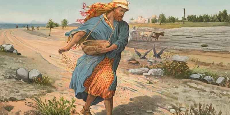 A rendfőnök októberi üzenete - Az isteni magvető „őrültsége”, aki a sötétben vet