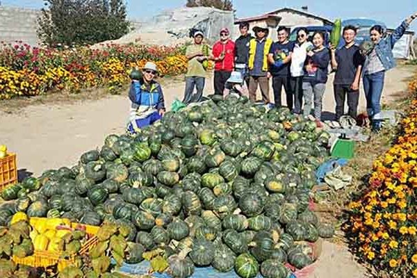 Mongólia – Egy sikeres mezőgazdasági tapasztalat