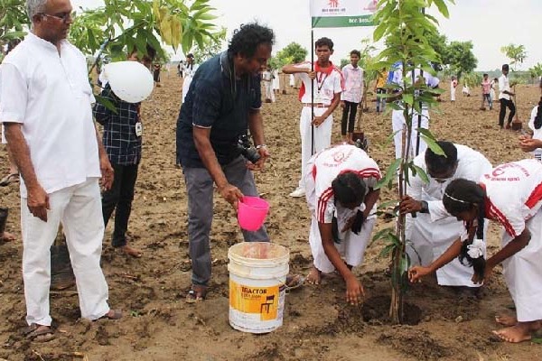 India – „Grow Bosco” – diákok faültetési kezdeményezése