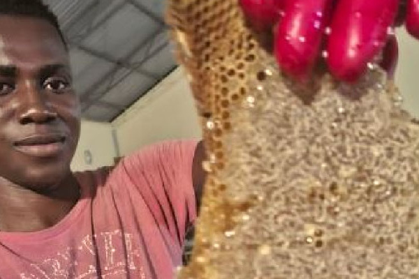 Gambia – A szalézi misszionáriusok fokozzák méhészeti tevékenységüket