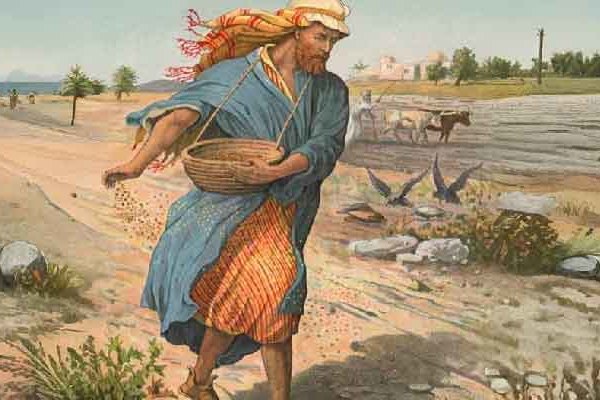 A rendfőnök októberi üzenete - Az isteni magvető „őrültsége”, aki a sötétben vet